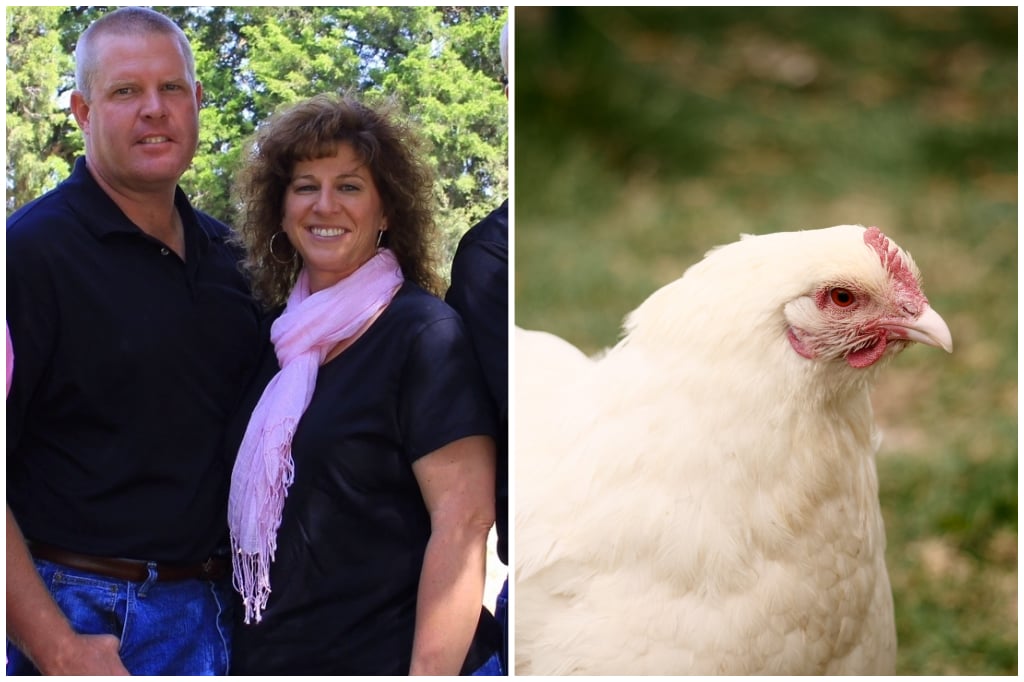 Fairview Farms