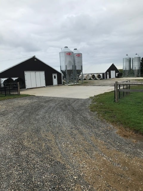 Sweet Air Farm