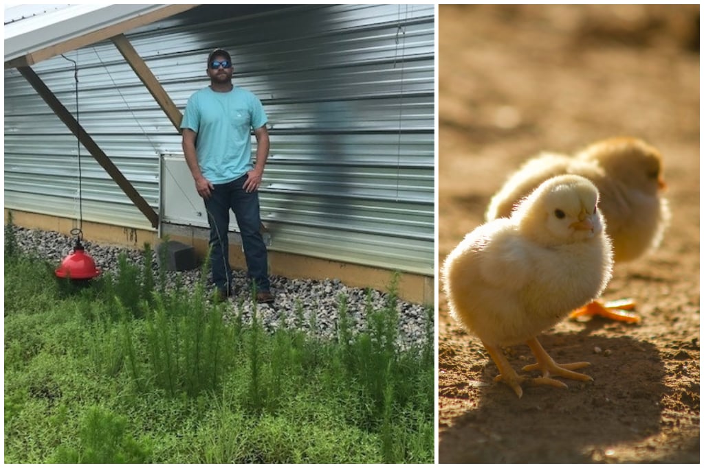 Cokey Swamp Farm