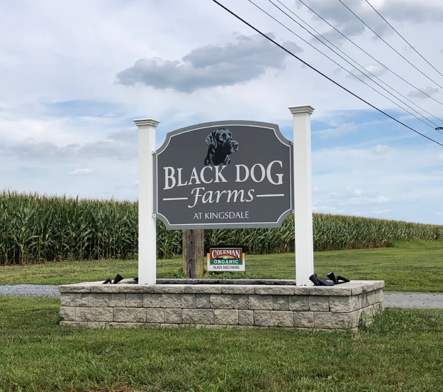 Black Dog Farms
