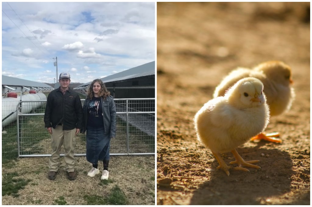 Latham Farms
