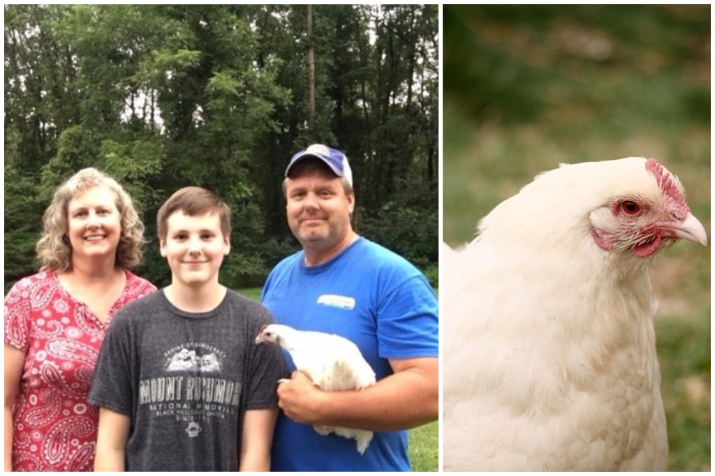KCE Farms