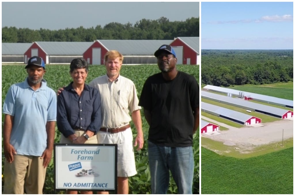 Forehand Farm