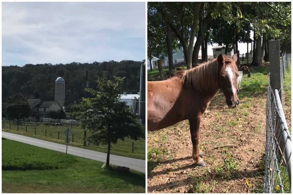 Shirk Family Farm