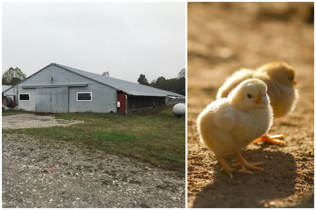Dusty Acres