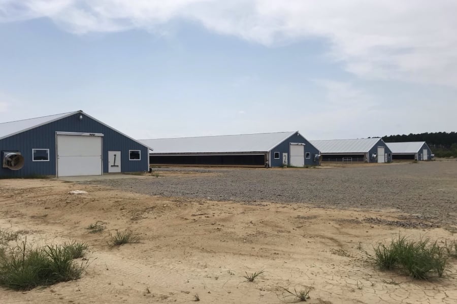 Millers Poultry