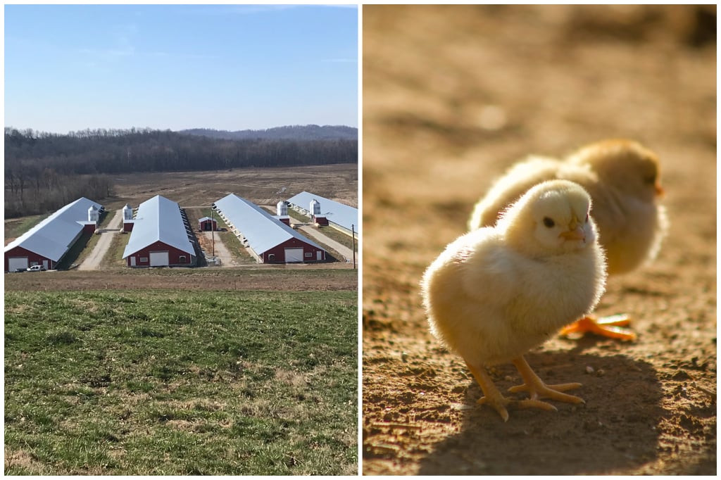 Midkiff Farm