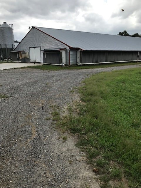 Weaver Poultry