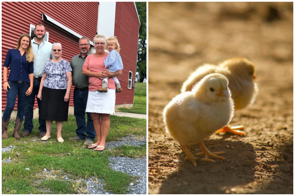 Ken-Di Farms