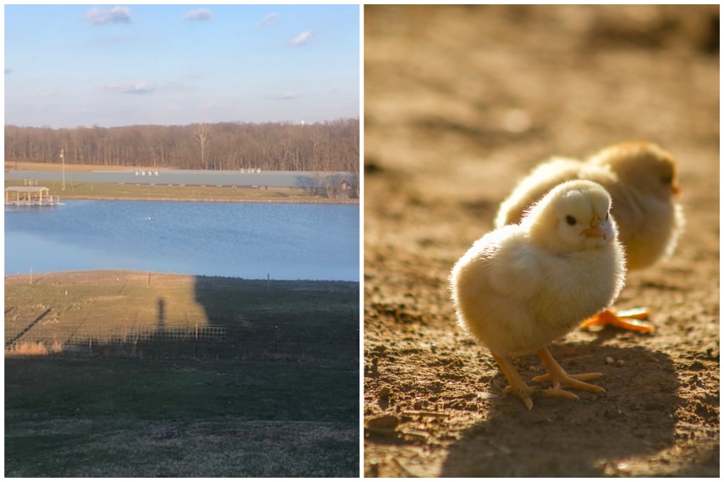 MJA Farms