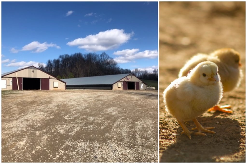 Liberty Farm