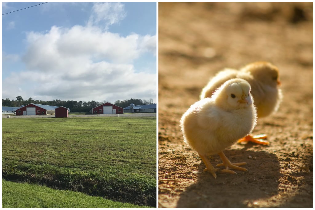 LBJ Farm
