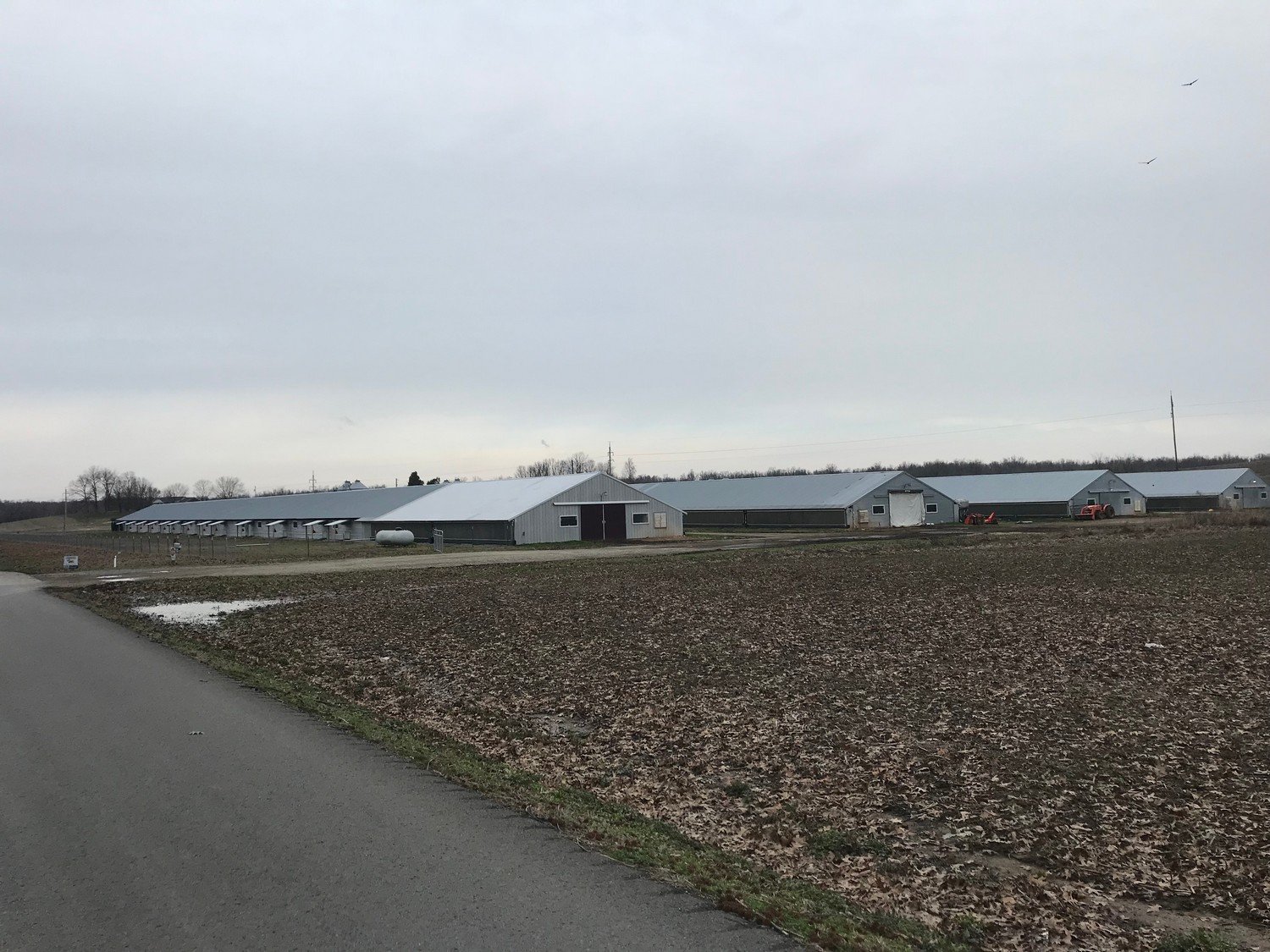 Sunrise Poultry Farms