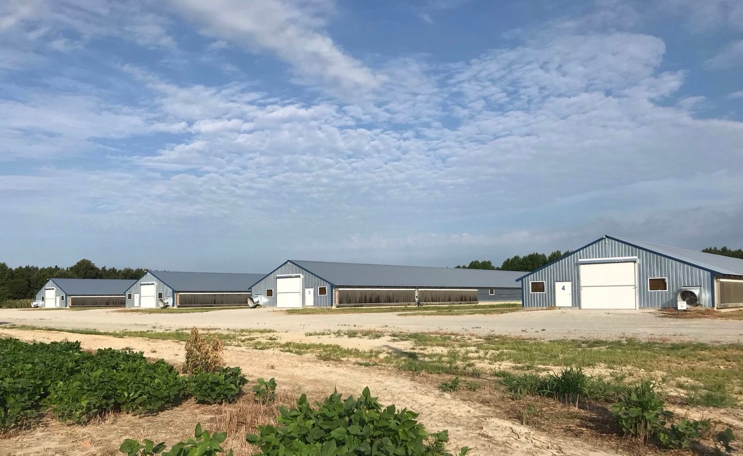 Faith Farms