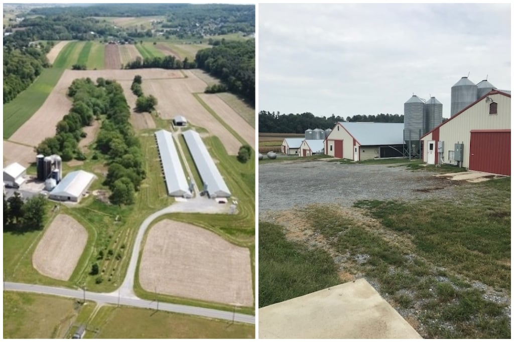 R Farm