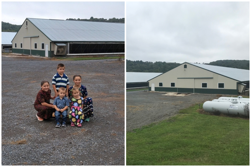 Dwayne Nolt Family Farm