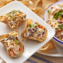 Southwestern Yogurt Chicken Dip