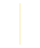 yellow line